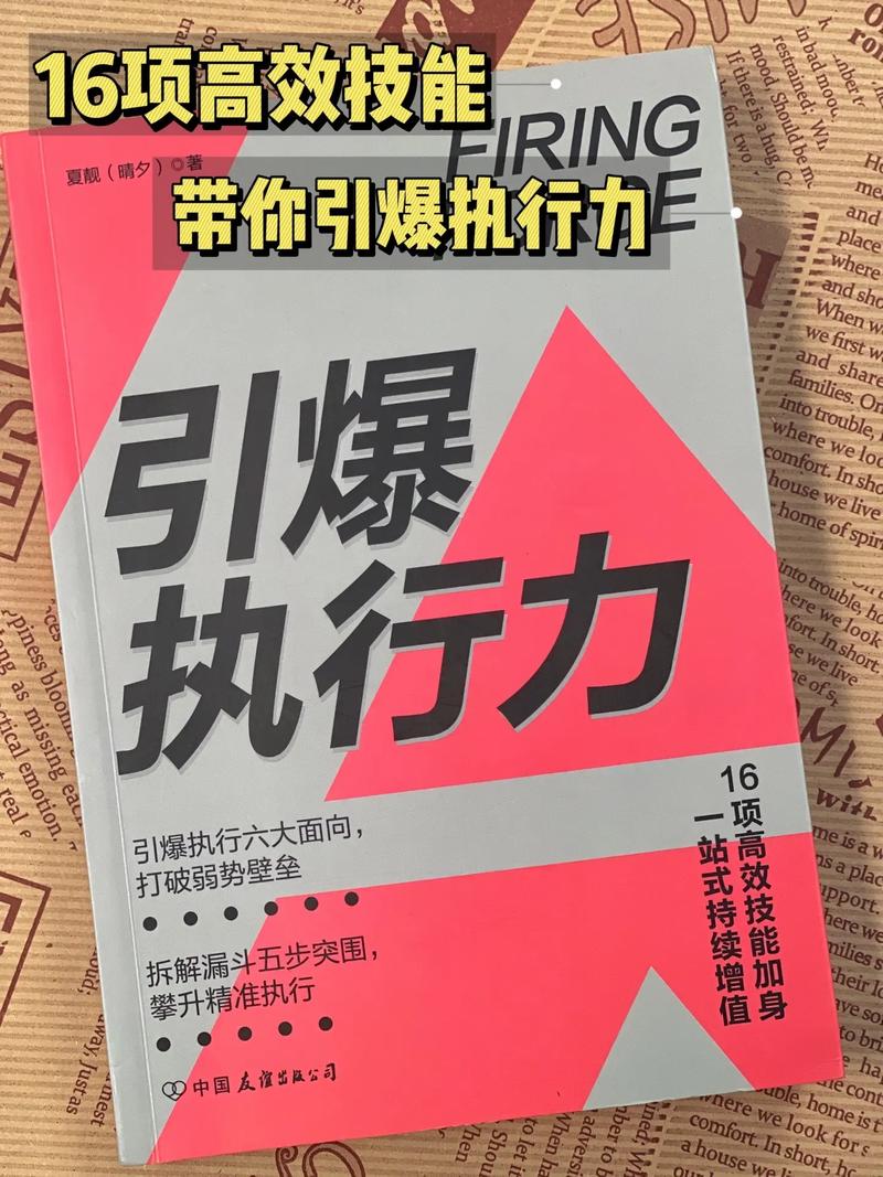 肖承建：引爆执行：打造高效执行力系统(集团执行高效业绩质询) 软件优化