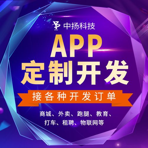 上海APP开发(开发那么大价格那点程序开发) 99链接平台