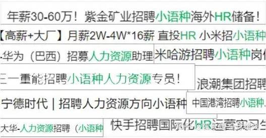 小语种年薪可达40万(跨境岗位平台小语种外贸) 软件开发