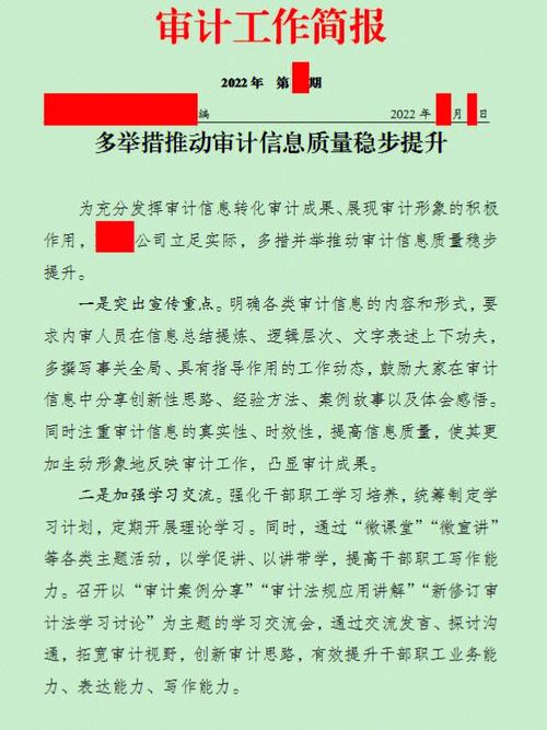 全方位审计服务:信息化项目质量与效益的双重保障(审计项目信息化服务效益) 99链接平台