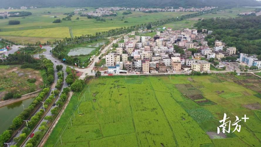 迪浪科技拟出资1000万成立全资子公司阳江市海陵试验区中软信息系统科技有限公司(公司建设工程服务对外投资设计) 软件优化