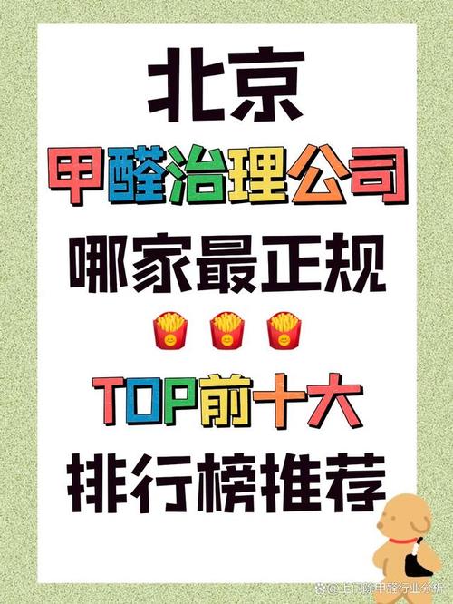 北京除甲醛公司之中最有效的十大治理排名榜单(治理十大服务公司环保) 软件开发