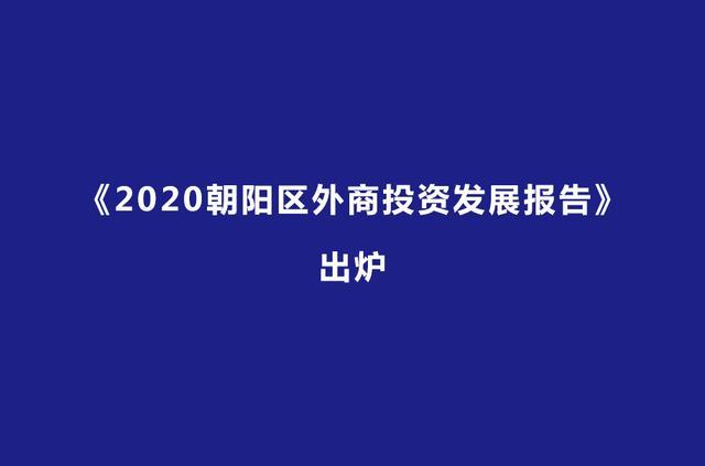 北京朝阳区今年已新设外资企业250家(数据达到了数字全市贸易) 软件优化