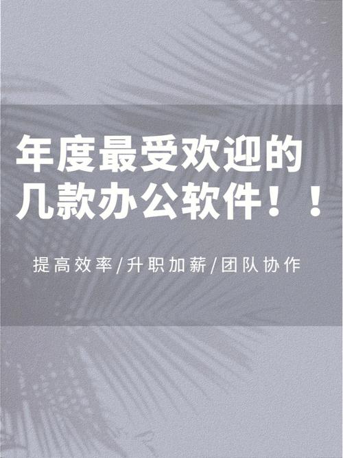 谁更受欢迎？(加强版收费免费办公软件功能) 软件优化