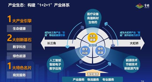 数字产业生态加速构建(青浦产业数字创新企业) 软件优化