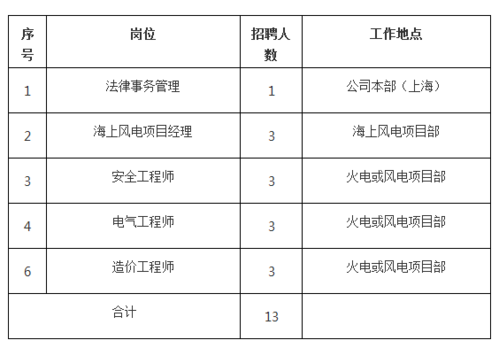 国家电投安徽公司招聘公告(负责专责主管项目工作) 软件优化