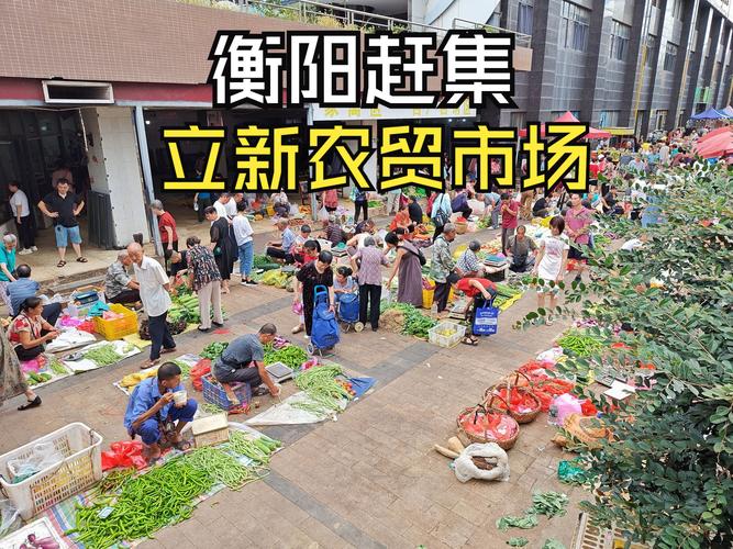 渝中区22家农贸市场签约进驻 智慧农贸“买点菜”平台在重庆启动(农贸市场点菜平台商贩农贸) 软件开发