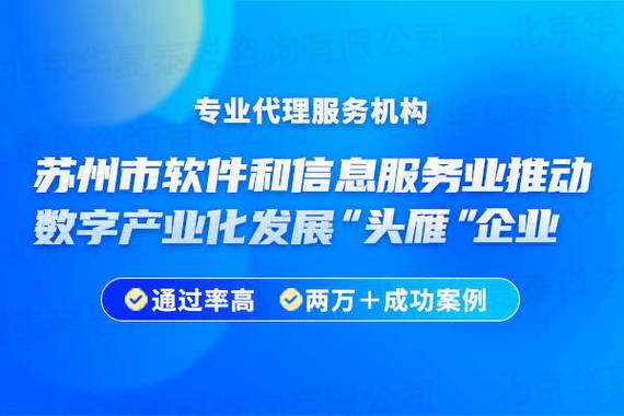 苏州市软件和信息服务业推动数字产业化发展“头雁”企业申报要求(宋体企业头雁软件知识产权) 软件开发