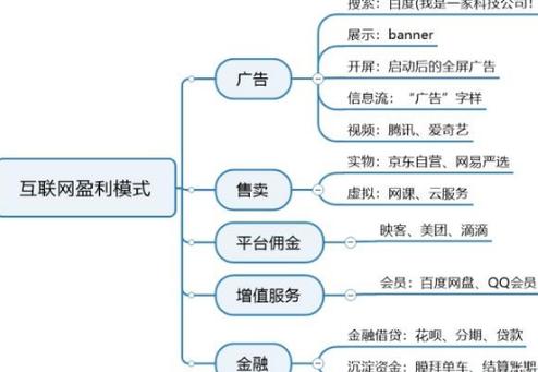 蔓云科技-APP盈利模式有哪些？(模式付费用户平台广告) 软件开发