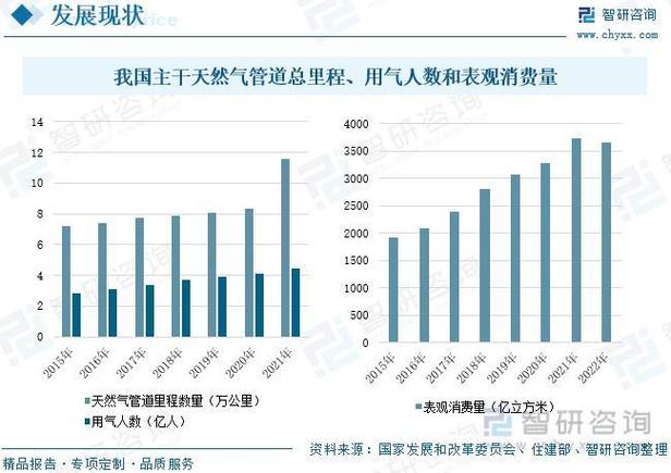 2023年燃气掺混设备行业市场需求分析及未来五至十年行业预测报告(燃气设备行业产品品牌) 99链接平台