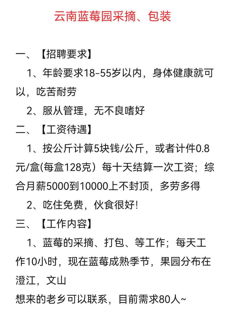 昆明人才网招聘信息云南招聘网找工作就是快!(招聘网招聘信息人才网找工作自己的) 排名链接