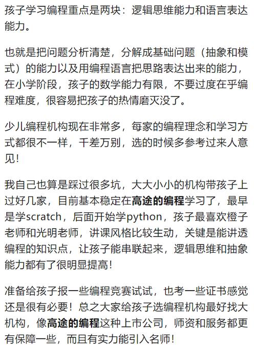 男孩子学编程有什么好处？为职业生涯奠定坚实的基础！(编程孩子们学习他们的能力) 软件开发