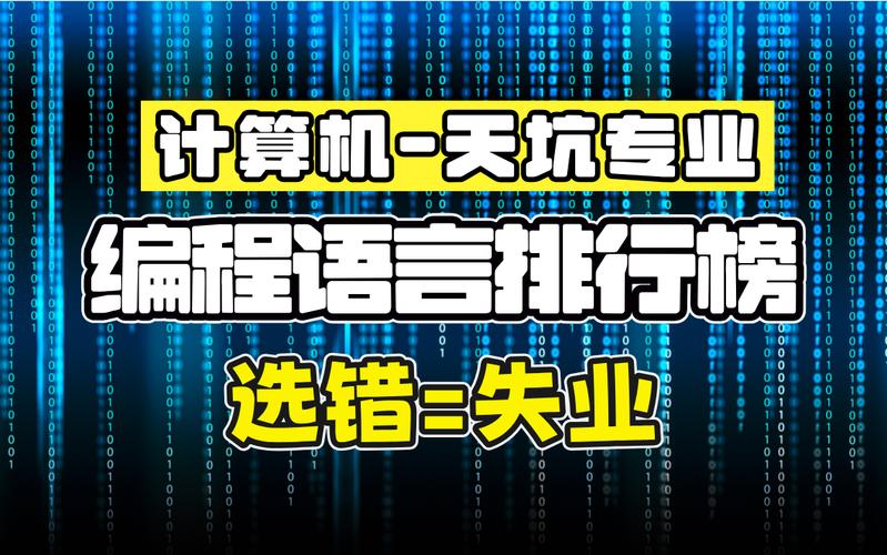 大学本科毕业，想去学计算机编程，做个程序员，现实吗？(编程语言程序员做个想去) 排名链接