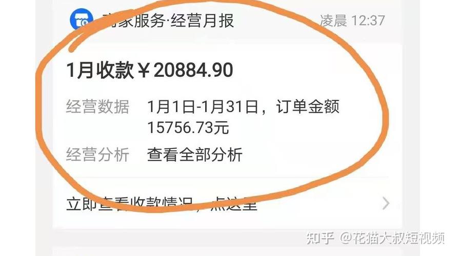 吃流水提成月入数万(商户支付公司机构刷卡) 软件优化