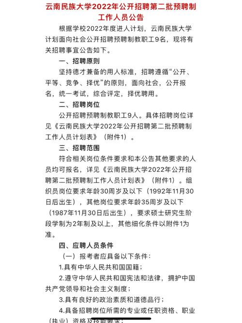 最 新 招 聘(报名时间详情报名招聘公开招聘) 软件开发