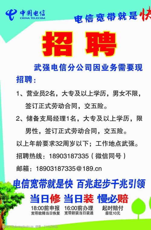 中国电信集团有限公司云网运营部（大数据和AI中心）社会招聘公告(中国电信集团有限公司招聘运营工程师) 软件开发