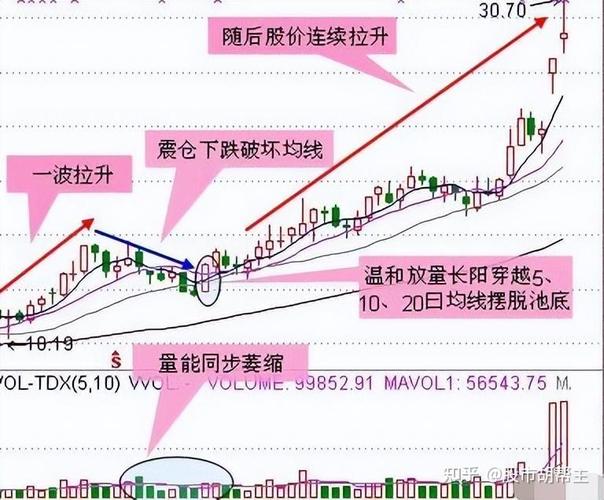 牛股谁更牛？(涨停数字化股价双刃剑板块) 99链接平台