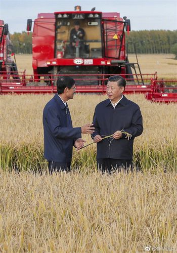 北大荒书写“丰收的答卷”——写在习近平总书记视察黑龙江垦区一周年之际(垦区农垦总书记改革集团) 软件优化