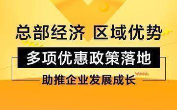 跨区域投资：如何享受西部大开发优惠(分支机构大开发优惠享受西部) 排名链接