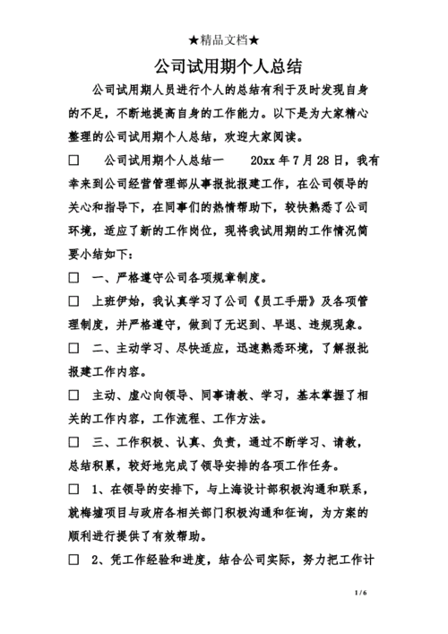 关于小微软件企业的招聘中的面试和试用期的一些感想（更新）(面试能力阿拉试用期技术) 软件优化