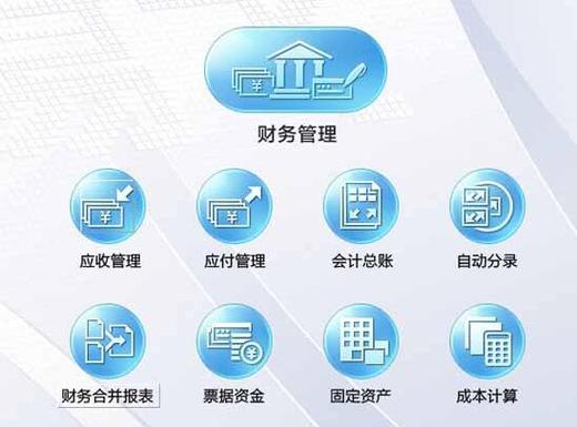 软件信息科技公司用什么财务管理软件？(财务项目软件科技预算) 99链接平台