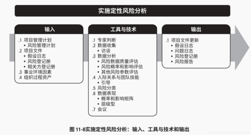 保障项目成功(项目风险软件识别项目管理) 排名链接