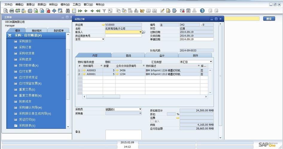 SAP Business One二次开发实战技巧：让ERP系统更懂您的需求(您的需求系统您可以企业) 软件优化