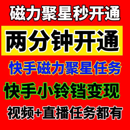 补贴400亿流量(快手达人磁力聚星粉条) 软件开发