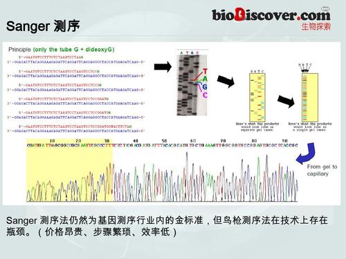 下一代测序工具开发谁更强？(内存对象运行垃圾回收) 软件优化