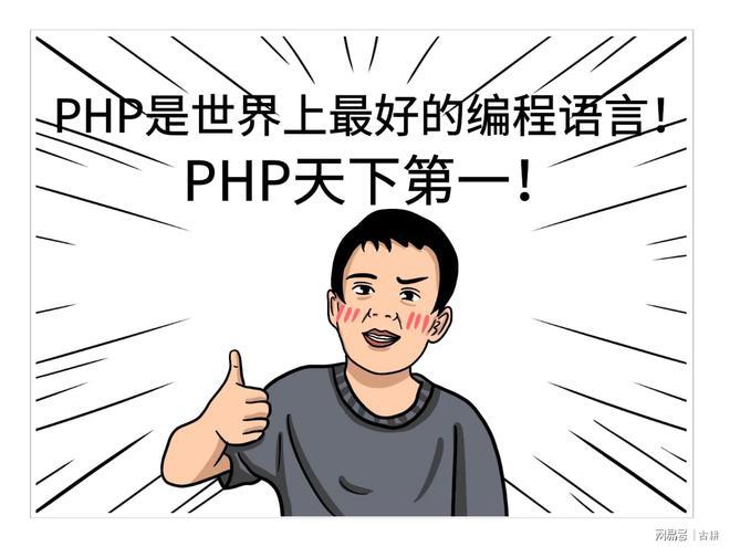 Java吃香，PHP败了(编程语言最好的语言程序员岗位) 软件优化