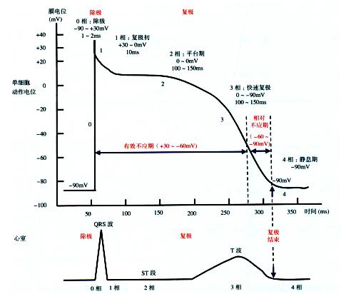 上海大学：预测电解液ECW还在用HOMO/LUMO？告诉你误差有多大！(溶剂氧化方法电位电解质) 排名链接