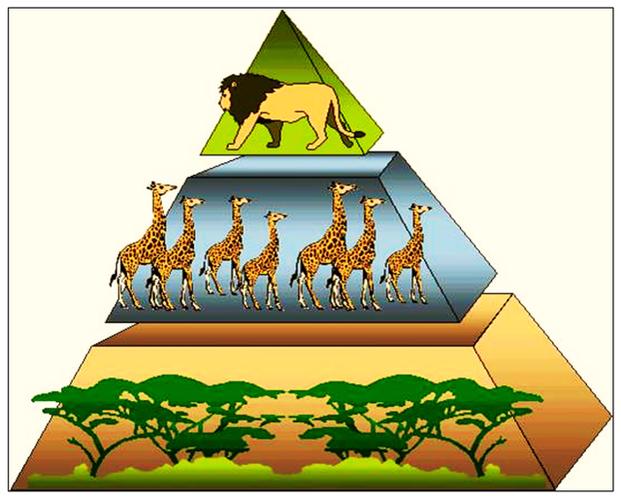 Functional ecology|用于各种生物群落的CSR生态策略计算方法(物种性状植物策略选择) 99链接平台