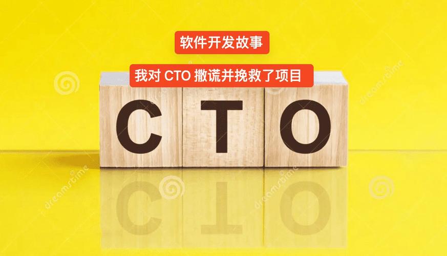 软件开发故事 - 我对 CTO 撒谎并挽救了项目(项目供应商工作他们的撒谎) 排名链接