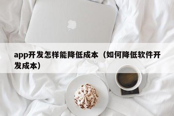 如何降低软件开发成本？(开发成本降低项目软件) 软件开发