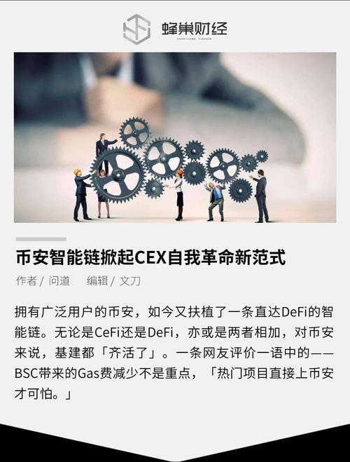 BSC链近况及解读：BSC链代币DApp开发详解(代币合约开发者用户开发) 排名链接