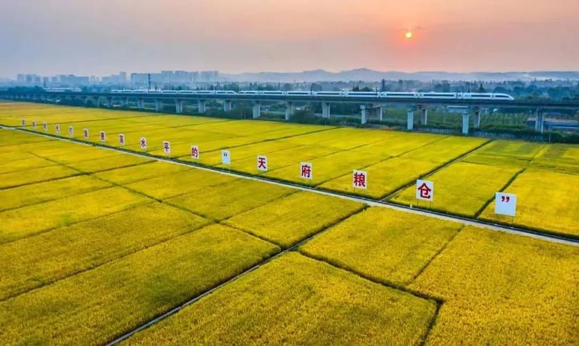 全市首家生态智慧农业示范基地在裕安建成(农业首家生态智慧大米) 软件优化