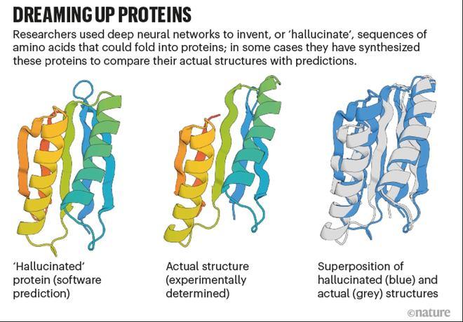 《自然》：AlphaFold和AI蛋白质折叠革命终局如何(蛋白质结构预测序列复合物) 99链接平台