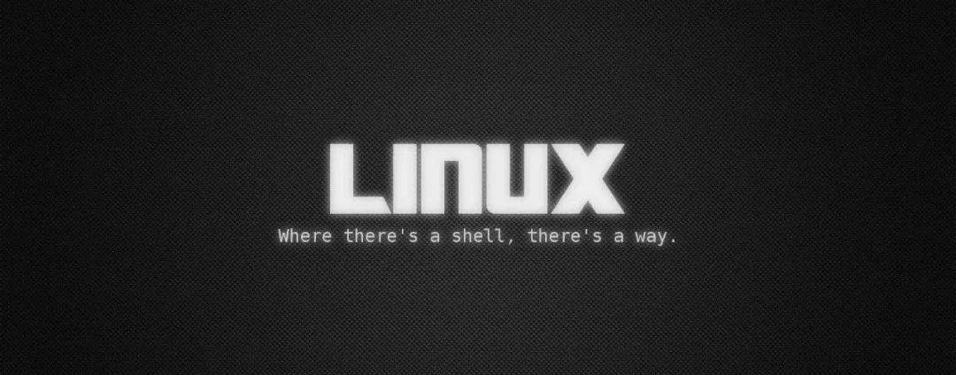 Linux 30 岁了！Linux 之父：完全没想到我的实验习作能存在 30 年(项目操作系统内核开发但我) 排名链接