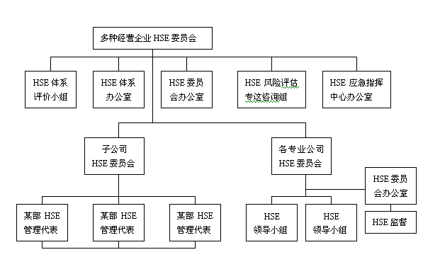 国际石油化工巨头HSE管理体系(环境管理员工事故风险) 软件优化