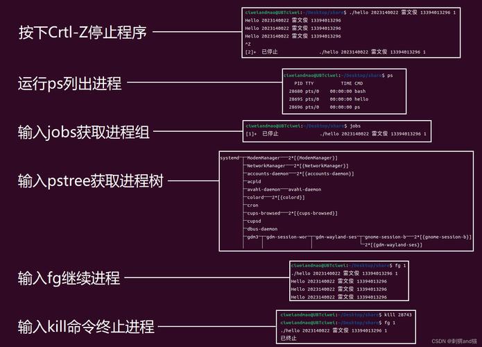 神级黑客玩家教你使用Python开发一款木马程序！(缓冲区设备程序键盘数据) 99链接平台