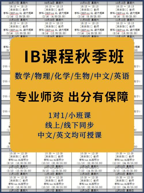 IB计算机科学SL和HL的差异-古北虹桥编程培训机构梦树(计算机科学课程编程学习学生) 99链接平台