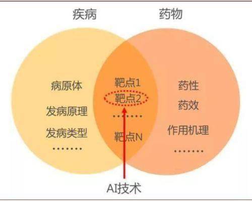 人工智能如何助力小分子药物开发？(药物人工智能分子模型发现) 软件优化