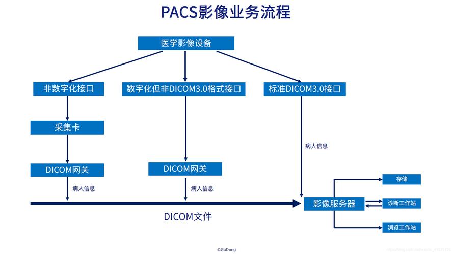 使用LEADTOOLS开发PACS存储服务器(服务器图像功能自定义病人) 排名链接