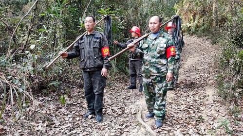 乌伊岭局公司：林长“治山” 护卫生态(护林员林业局护林公司护卫) 软件优化