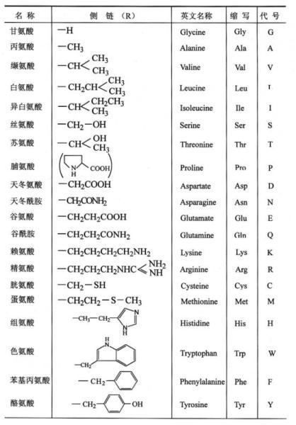 实时检测20种氨基酸(氨基酸检测种蛋白质蛋白质) 软件开发