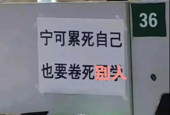 吓到回应：不要搞我，只想当个小网红(腾讯程序员只想当个要搞) 排名链接