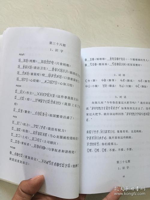 试论凉山彝区双语教育的未来之路(彝族教育双语汉语语言) 99链接平台