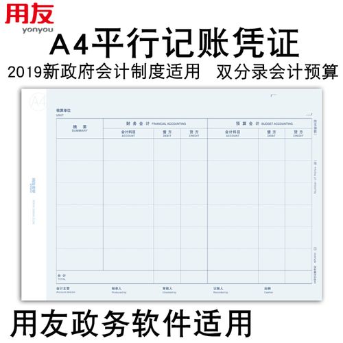 政府会计实务丨平行记账实务讲解(记账平行预算业务政府) 排名链接