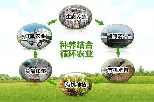 合作社养(合作社仔猪来了养猪模式) 软件优化