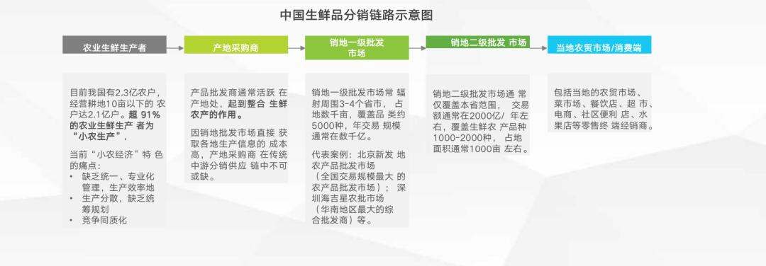 32家零售企业共同出资 全国首个生鲜供应链平台成立(生鲜供应链零售企业兄弟采购) 排名链接